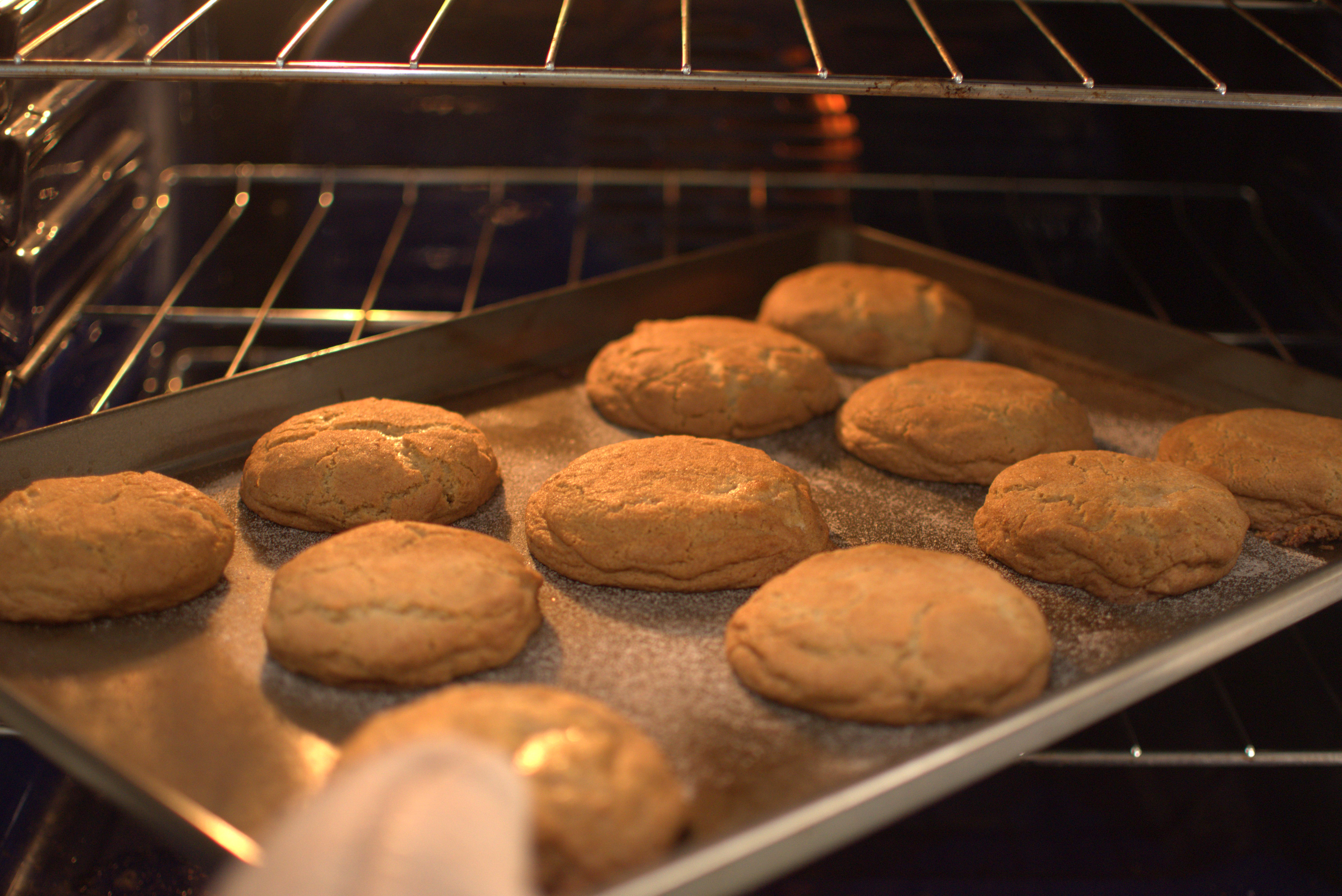 Snickerdoodle cookie